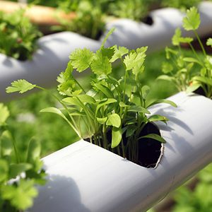 Smart Hydroponics Solutions